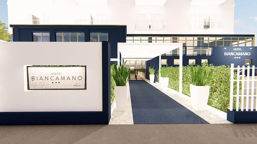 Hotel Biancamano Rimini